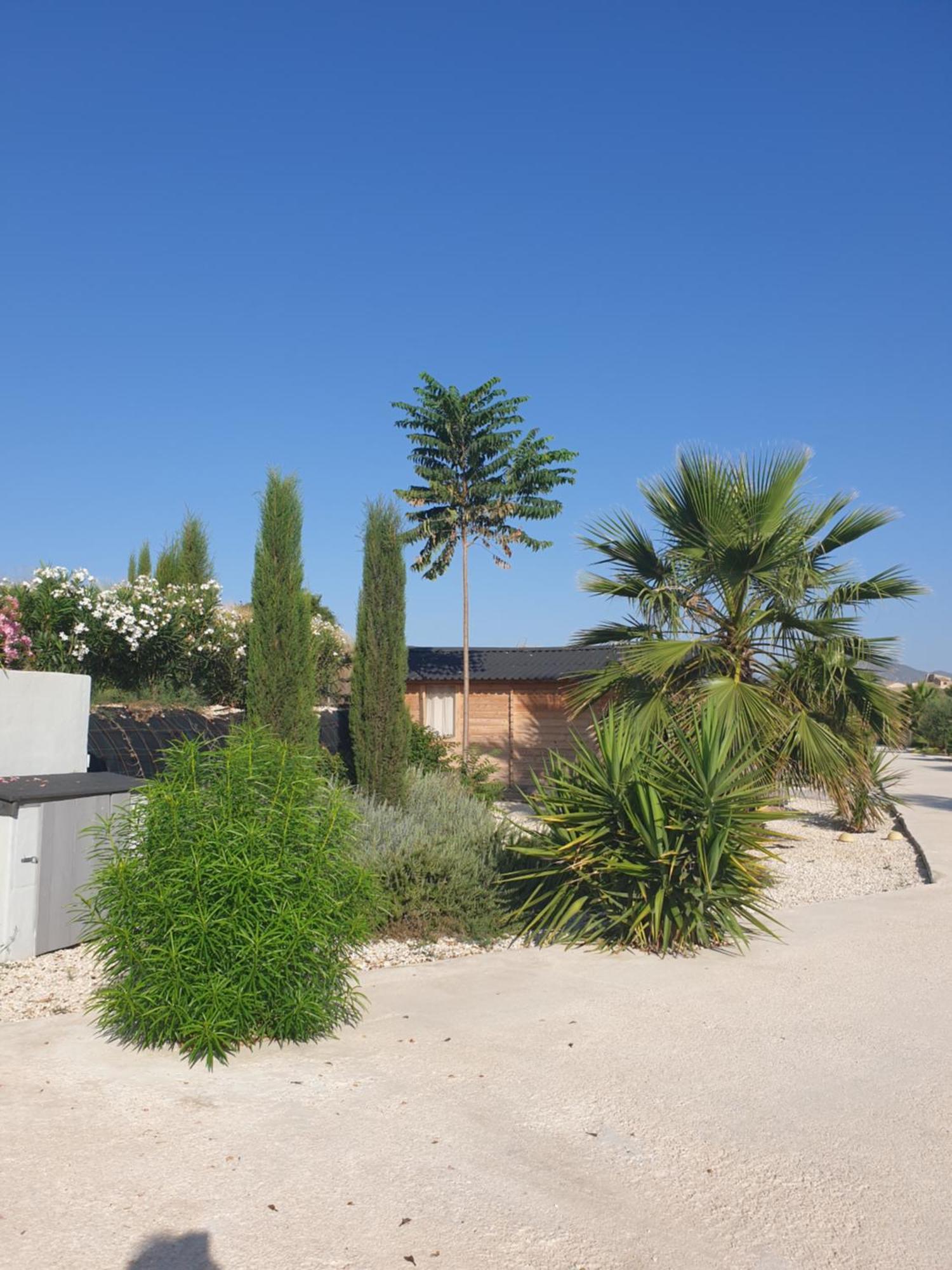 Villa Casa De La Vida Liebetruth A à Aspe Extérieur photo